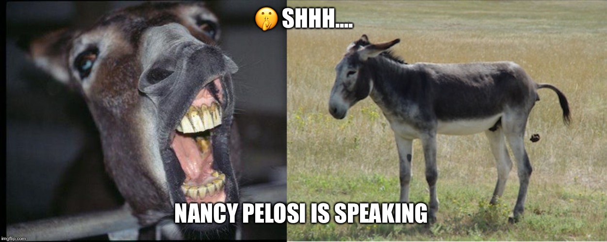 Speaker of The House | 🤫 SHHH.... NANCY PELOSI IS SPEAKING | image tagged in nancy pelosi,dnc,democrats,jackass,dumbass | made w/ Imgflip meme maker