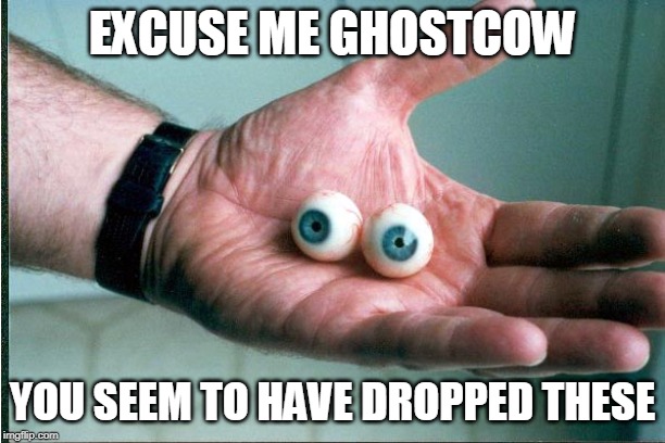 EXCUSE ME GHOSTCOW; YOU SEEM TO HAVE DROPPED THESE | made w/ Imgflip meme maker