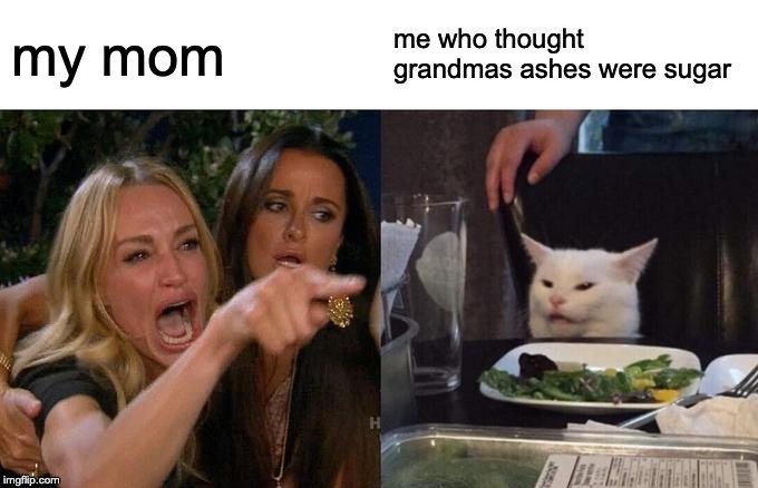 Woman Yelling At Cat | my mom; me who thought grandmas ashes were sugar | image tagged in memes,woman yelling at cat | made w/ Imgflip meme maker