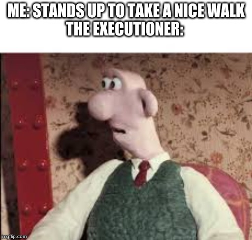 Surprised Wallace | ME: STANDS UP TO TAKE A NICE WALK

THE EXECUTIONER: | image tagged in surprised wallace | made w/ Imgflip meme maker