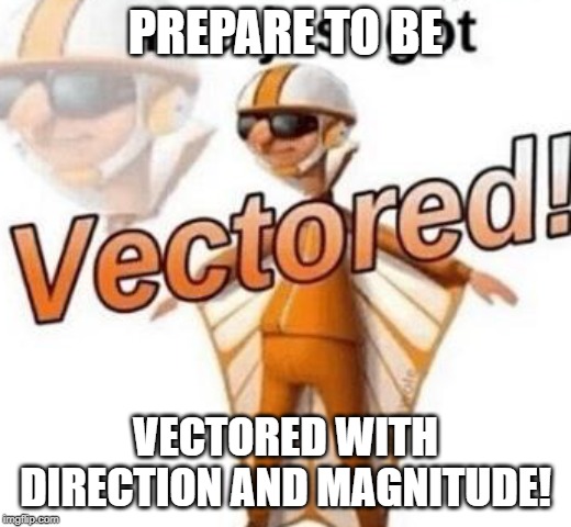 You just got vectored | PREPARE TO BE; VECTORED WITH DIRECTION AND MAGNITUDE! | image tagged in you just got vectored | made w/ Imgflip meme maker