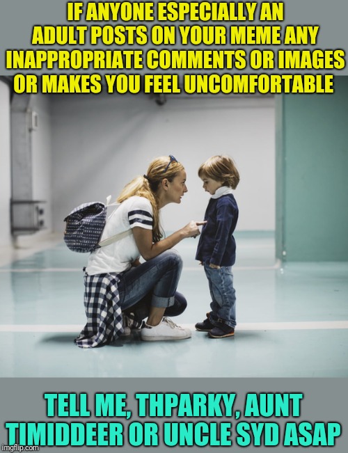 Mom talking to kid | IF ANYONE ESPECIALLY AN ADULT POSTS ON YOUR MEME ANY INAPPROPRIATE COMMENTS OR IMAGES OR MAKES YOU FEEL UNCOMFORTABLE TELL ME, THPARKY, AUNT | image tagged in mom talking to kid | made w/ Imgflip meme maker