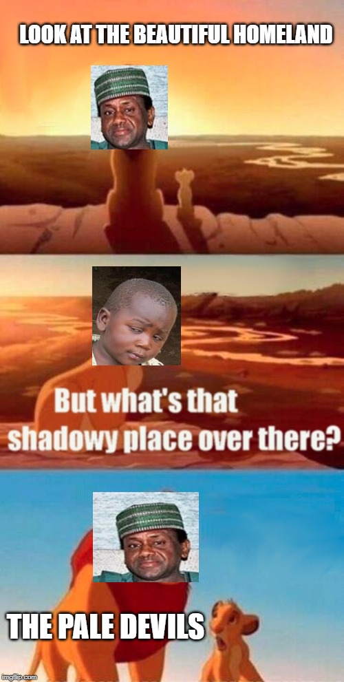Simba Shadowy Place | LOOK AT THE BEAUTIFUL HOMELAND; THE PALE DEVILS | image tagged in memes,simba shadowy place | made w/ Imgflip meme maker