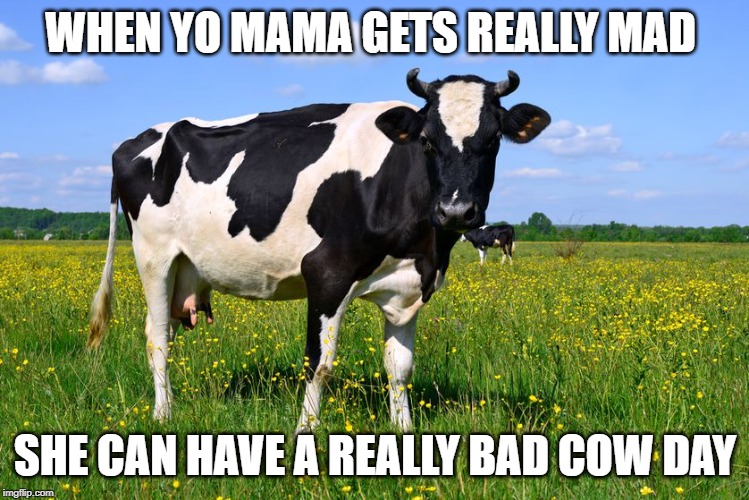 WHEN YO MAMA GETS REALLY MAD; SHE CAN HAVE A REALLY BAD COW DAY | image tagged in yo mama | made w/ Imgflip meme maker