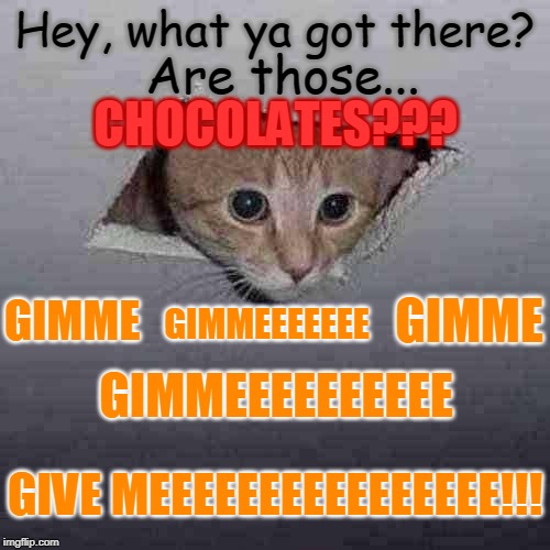 Ceiling Cat | Hey, what ya got there? Are those... CHOCOLATES??? GIMME; GIMME; GIMMEEEEEEE; GIMMEEEEEEEEEE; GIVE MEEEEEEEEEEEEEEEE!!! | image tagged in memes,ceiling cat | made w/ Imgflip meme maker