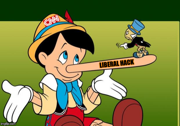 Liar | LIBERAL HACK | image tagged in liar | made w/ Imgflip meme maker