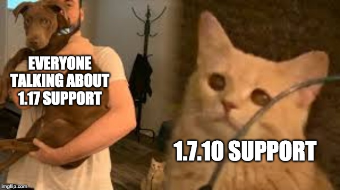 EVERYONE TALKING ABOUT 1.17 SUPPORT; 1.7.10 SUPPORT | made w/ Imgflip meme maker