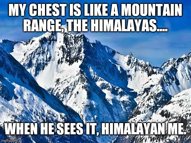 Mountain  | MY CHEST IS LIKE A MOUNTAIN RANGE, THE HIMALAYAS.... WHEN HE SEES IT, HIMALAYAN ME. | image tagged in mountain | made w/ Imgflip meme maker