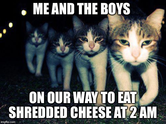Wrong Neighboorhood Cats | ME AND THE BOYS; ON OUR WAY TO EAT SHREDDED CHEESE AT 2 AM | image tagged in memes,wrong neighboorhood cats | made w/ Imgflip meme maker