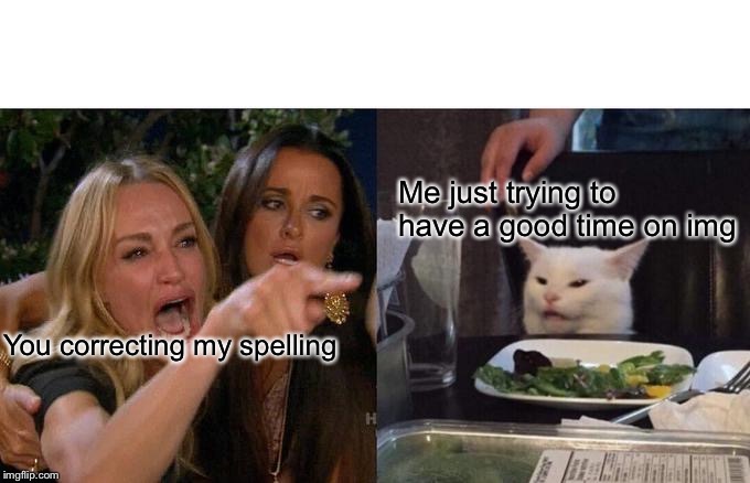 Woman Yelling At Cat Meme | You correcting my spelling Me just trying to have a good time on Imgflip | image tagged in memes,woman yelling at cat | made w/ Imgflip meme maker