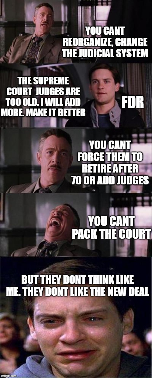 Peter Parker Cry | YOU CANT REORGANIZE, CHANGE THE JUDICIAL SYSTEM; THE SUPREME COURT  JUDGES ARE TOO OLD. I WILL ADD MORE. MAKE IT BETTER; FDR; YOU CANT FORCE THEM TO RETIRE AFTER 70 OR ADD JUDGES; YOU CANT PACK THE COURT; BUT THEY DONT THINK LIKE ME. THEY DONT LIKE THE NEW DEAL | image tagged in memes,peter parker cry | made w/ Imgflip meme maker