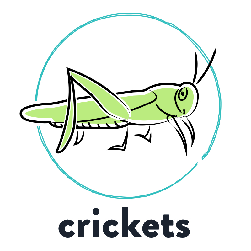 Crickets Blank Meme Template