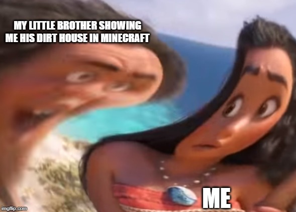 Distorted Maui | MY LITTLE BROTHER SHOWING ME HIS DIRT HOUSE IN MINECRAFT; ME | image tagged in distorted maui | made w/ Imgflip meme maker