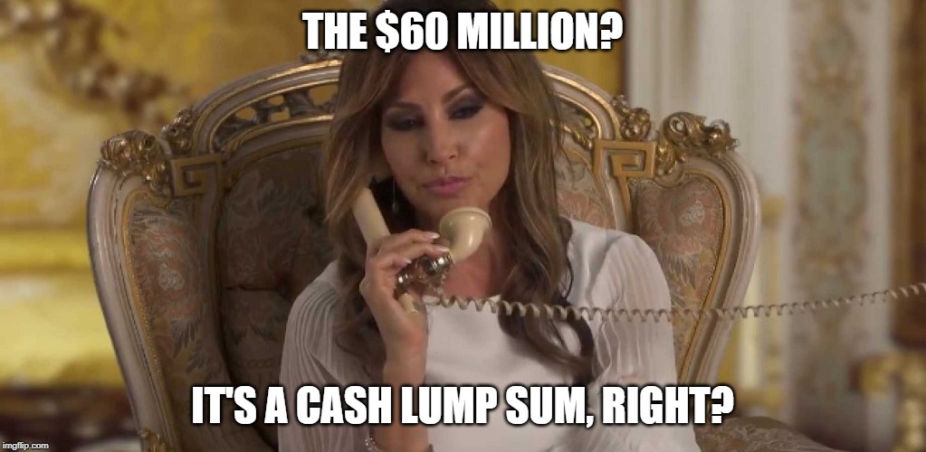 THE $60 MILLION? IT'S A CASH LUMP SUM, RIGHT? | image tagged in melania trump meme | made w/ Imgflip meme maker