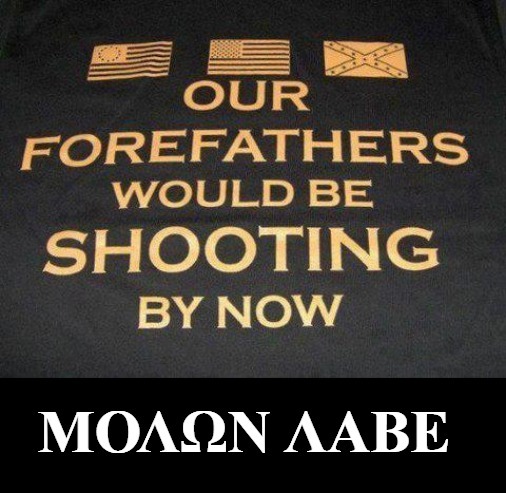 Just Do It! Our Forefathers Would Be Shooting By Now. | image tagged in american revolution,american civil war,civil war 2,molon labe,militia,well regulated militia | made w/ Imgflip meme maker