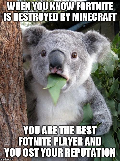 Surprised Koala | WHEN YOU KNOW FORTNITE IS DESTROYED BY MINECRAFT; YOU ARE THE BEST FOTNITE PLAYER AND YOU OST YOUR REPUTATION | image tagged in memes,surprised koala | made w/ Imgflip meme maker