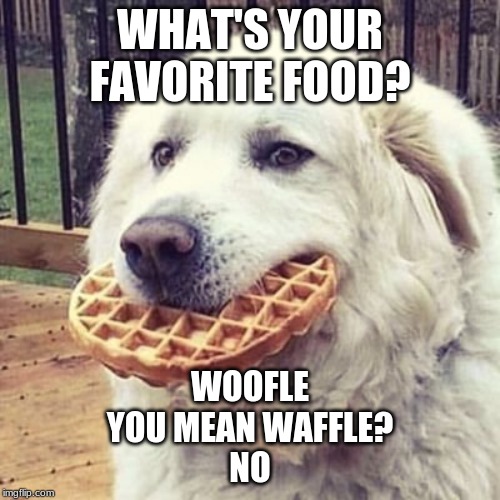 woofle | WHAT'S YOUR FAVORITE FOOD? WOOFLE
YOU MEAN WAFFLE?
NO | image tagged in woofle | made w/ Imgflip meme maker