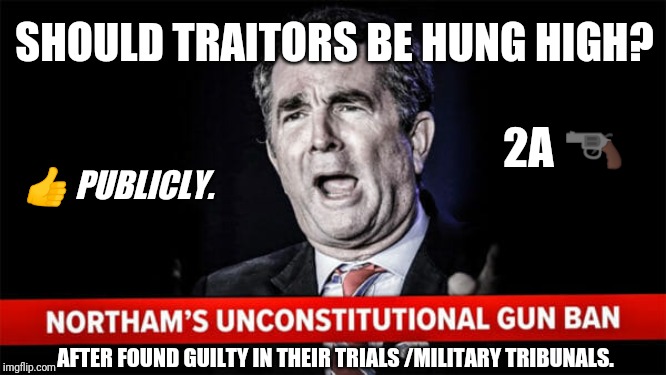 The US Constitution is under Assault by Virginia Governor Ralph Northam & Democrats. |  SHOULD TRAITORS BE HUNG HIGH? 2A 🔫; 👍 PUBLICLY. AFTER FOUND GUILTY IN THEIR TRIALS /MILITARY TRIBUNALS. | image tagged in second amendment,us constitution,gun control,treason,execution,the great awakening | made w/ Imgflip meme maker