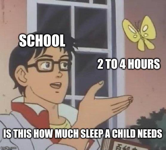 Is This A Pigeon | SCHOOL; 2 TO 4 HOURS; IS THIS HOW MUCH SLEEP A CHILD NEEDS | image tagged in memes,is this a pigeon | made w/ Imgflip meme maker