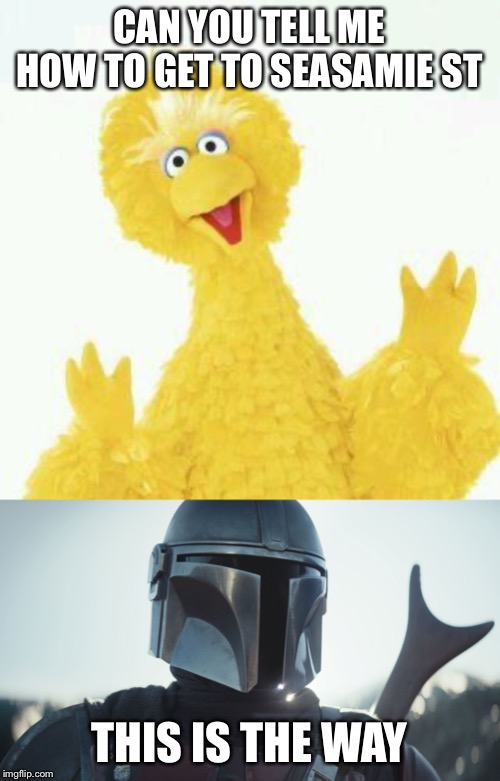 CAN YOU TELL ME HOW TO GET TO SEASAMIE ST; THIS IS THE WAY | image tagged in big bird 1,the mandalorian | made w/ Imgflip meme maker