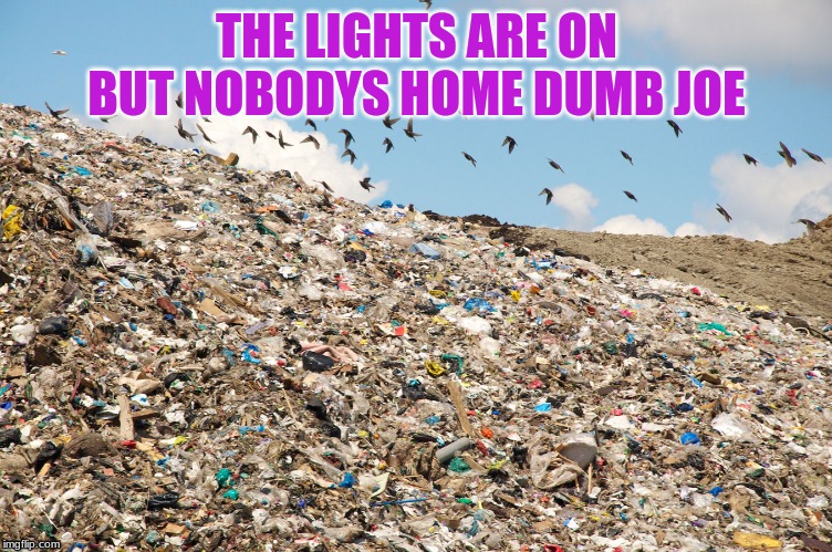 Landfill | THE LIGHTS ARE ON BUT NOBODYS HOME DUMB JOE | image tagged in landfill | made w/ Imgflip meme maker