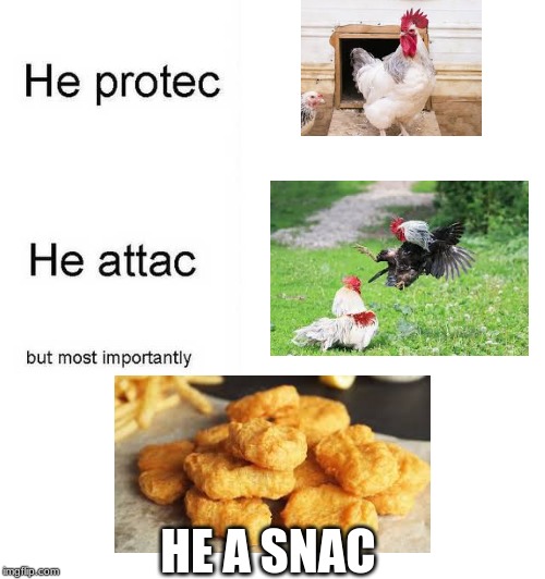 He protec, he atac | HE A SNAC | image tagged in he protec he atac | made w/ Imgflip meme maker