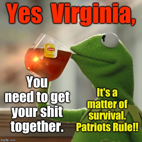 But That's None Of My Business Meme |  Yes  Virginia, You need to get your shit together. It's a matter of survival. Patriots Rule!! | image tagged in memes,but thats none of my business,kermit the frog,virginia 2nd amendment | made w/ Imgflip meme maker
