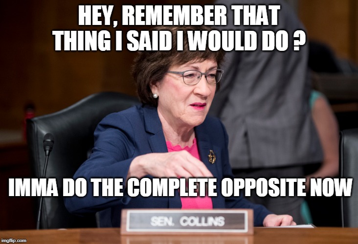 HEY, REMEMBER THAT THING I SAID I WOULD DO ? IMMA DO THE COMPLETE OPPOSITE NOW | image tagged in senators,liars | made w/ Imgflip meme maker