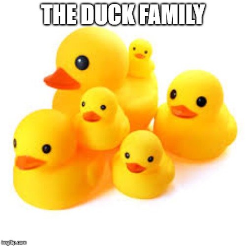 THE DUCK FAMILY | image tagged in funny,memes,ducks,family | made w/ Imgflip meme maker