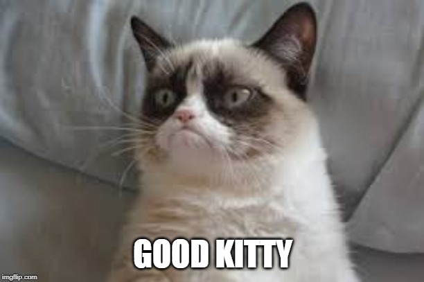 Grumpy cat | GOOD KITTY | image tagged in grumpy cat | made w/ Imgflip meme maker