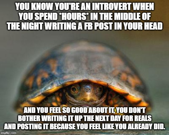 introverts | YOU KNOW YOU'RE AN INTROVERT WHEN YOU SPEND *HOURS* IN THE MIDDLE OF THE NIGHT WRITING A FB POST IN YOUR HEAD; AND YOU FEEL SO GOOD ABOUT IT, YOU DON'T BOTHER WRITING IT UP THE NEXT DAY FOR REALS AND POSTING IT BECAUSE YOU FEEL LIKE YOU ALREADY DID. | image tagged in introverts | made w/ Imgflip meme maker