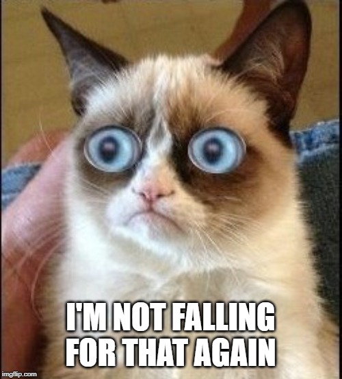 Grumpy Cat Shocked | I'M NOT FALLING FOR THAT AGAIN | image tagged in grumpy cat shocked | made w/ Imgflip meme maker
