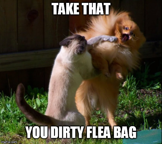 TAKE THAT YOU DIRTY FLEA BAG | made w/ Imgflip meme maker