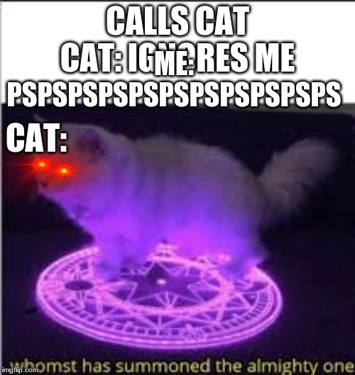 Whomst has Summoned the almighty one | CALLS CAT
CAT: IGNORES ME; ME: PSPSPSPSPSPSPSPSPSPSPS; CAT: | image tagged in whomst has summoned the almighty one | made w/ Imgflip meme maker