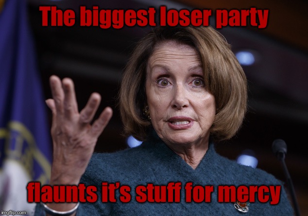 Good old Nancy Pelosi | The biggest loser party flaunts it’s stuff for mercy | image tagged in good old nancy pelosi | made w/ Imgflip meme maker