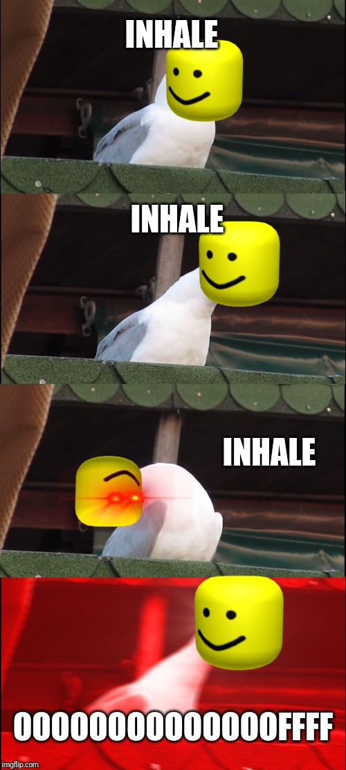 Inhaling Seagull | INHALE; INHALE; INHALE; OOOOOOOOOOOOOOFFFF | image tagged in memes,inhaling seagull | made w/ Imgflip meme maker