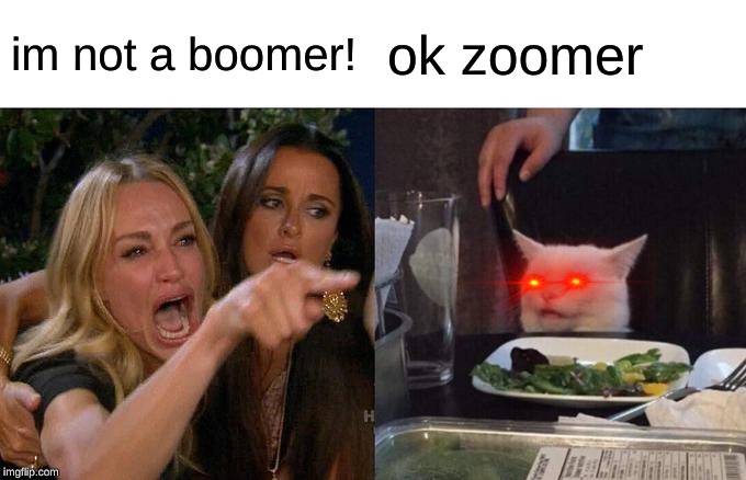 BET | im not a boomer! ok zoomer | image tagged in memes,woman yelling at cat | made w/ Imgflip meme maker