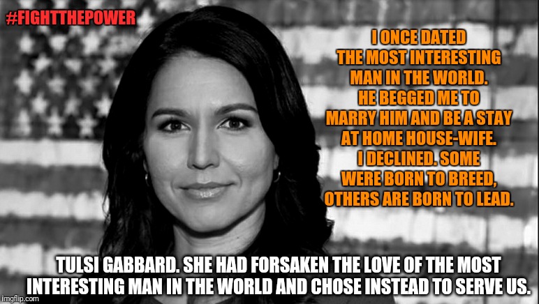 Tulsi the heartbreaker | #FIGHTTHEPOWER; I ONCE DATED THE MOST INTERESTING MAN IN THE WORLD. HE BEGGED ME TO MARRY HIM AND BE A STAY AT HOME HOUSE-WIFE. I DECLINED. SOME WERE BORN TO BREED, OTHERS ARE BORN TO LEAD. TULSI GABBARD. SHE HAD FORSAKEN THE LOVE OF THE MOST INTERESTING MAN IN THE WORLD AND CHOSE INSTEAD TO SERVE US. | image tagged in tulsi gabbard,the most interesting man in the world,memes,political meme,2020 elections,democrats | made w/ Imgflip meme maker