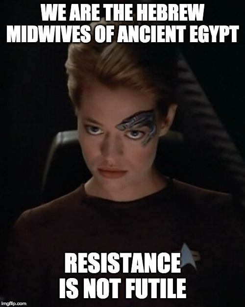Seven of Nine - I am Borg | WE ARE THE HEBREW MIDWIVES OF ANCIENT EGYPT; RESISTANCE IS NOT FUTILE | image tagged in seven of nine - i am borg | made w/ Imgflip meme maker