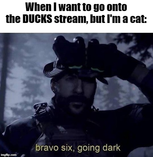 Improvise. Adapt. Overcome. | When I want to go onto the DUCKS stream, but I'm a cat: | image tagged in bravo six going dark,improvise adapt overcome,ducks,cats | made w/ Imgflip meme maker