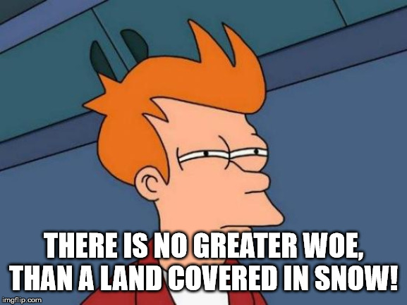 Futurama Fry Meme | THERE IS NO GREATER WOE, THAN A LAND COVERED IN SNOW! | image tagged in memes,futurama fry | made w/ Imgflip meme maker