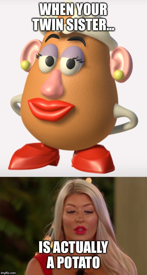 WHEN YOUR TWIN SISTER... IS ACTUALLY A POTATO | image tagged in love island meme | made w/ Imgflip meme maker