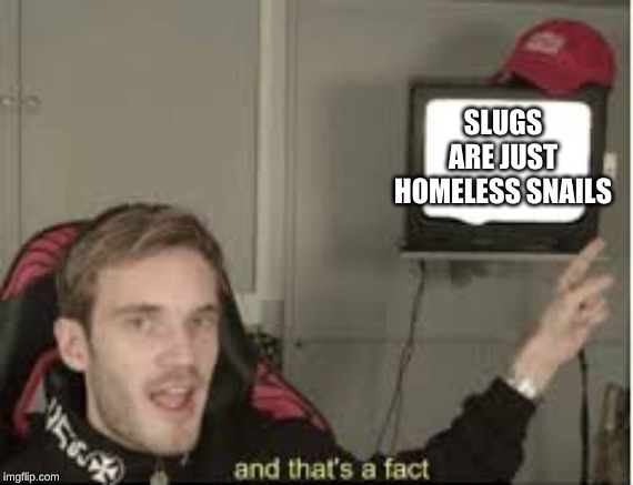 And thats a fact | SLUGS ARE JUST HOMELESS SNAILS | image tagged in and thats a fact | made w/ Imgflip meme maker