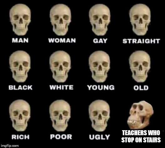 idiot skull | TEACHERS WHO STOP ON STAIRS | image tagged in idiot skull | made w/ Imgflip meme maker
