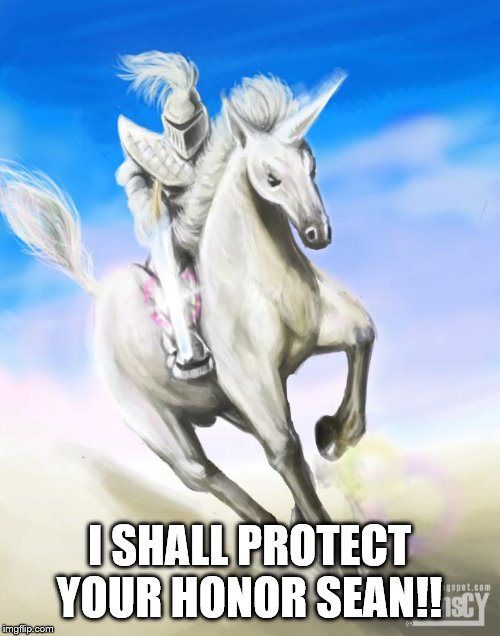 White Knight | I SHALL PROTECT YOUR HONOR SEAN!! | image tagged in white knight | made w/ Imgflip meme maker