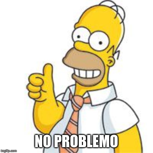 homer no problemo | NO PROBLEMO | image tagged in homer no problemo | made w/ Imgflip meme maker