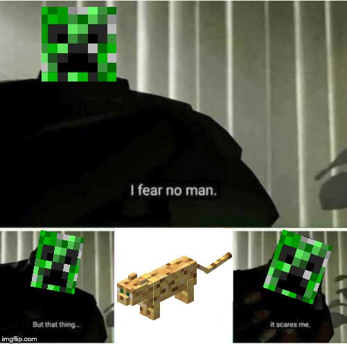 I fear that cat. | image tagged in minecraft | made w/ Imgflip meme maker