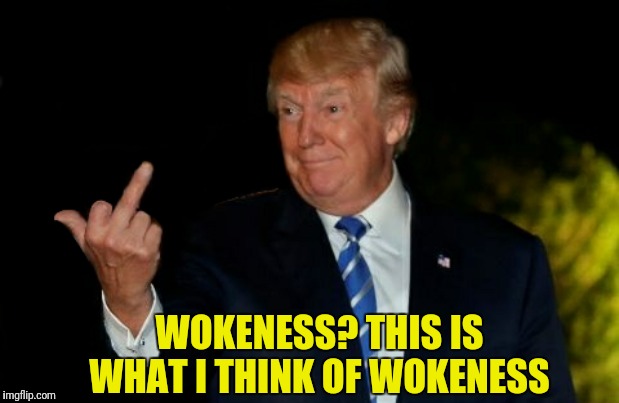 What is your opinion of Wokeness? | WOKENESS? THIS IS WHAT I THINK OF WOKENESS | image tagged in trump gives the bird,woke,memes,funny meme | made w/ Imgflip meme maker