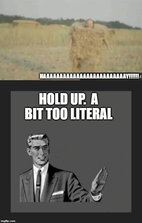 HAAAAAAAAAAAAAAAAAAAAAAAAAY!!!!!! HOLD UP.  A BIT TOO LITERAL | image tagged in hold on | made w/ Imgflip meme maker