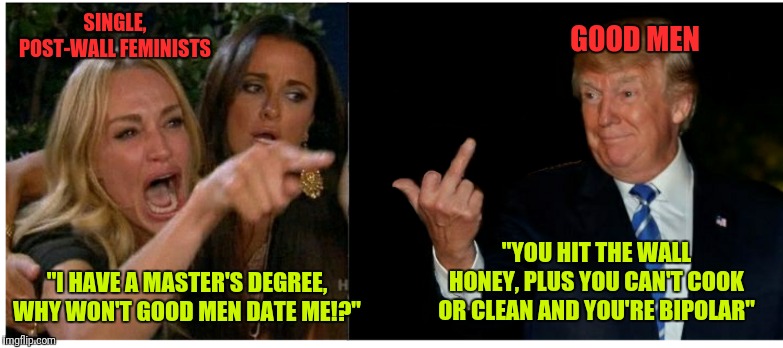 What? Surprised men don't care about your gender studies degree? | SINGLE, POST-WALL FEMINISTS; GOOD MEN; "YOU HIT THE WALL HONEY, PLUS YOU CAN'T COOK OR CLEAN AND YOU'RE BIPOLAR"; "I HAVE A MASTER'S DEGREE, WHY WON'T GOOD MEN DATE ME!?" | image tagged in woman yelling at trump,memes,mgtow,funny meme,woman yelling at a cat,funny,MGTOW | made w/ Imgflip meme maker